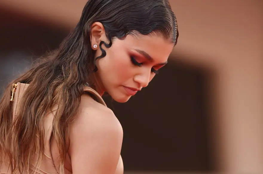 Zendaya Met Gala'da neden yoktu? (MET Gala'ya hiç katılmamış 5 ünlü) 3 Zendaya Met Gala'da neden yoktu? (MET Gala'ya hiç katılmamış 5 ünlü) 3