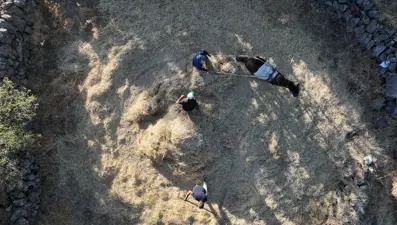 3 arkadaş düven sürme geleneğini yaşatıyor: Atalarından miras, artık bilen yok