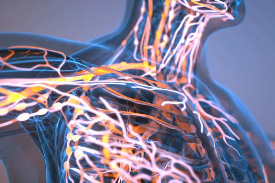 24 saat boyunca aç kalırsak ne olur? Vücuda etkileri inanılmaz 24 saat boyunca aç kalırsak ne olur? Vücuda etkileri inanılmaz