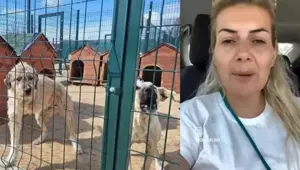 Buket Özgünlü kimdir? Köpekvelisi hesabının sahibi Buket Özgünlü neden tutuklandı?