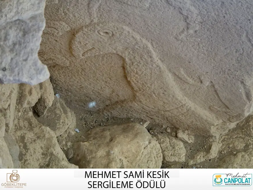 Göbeklitepe Fotoğraf Yarışması'nın kazananları belli oldu 59 Göbeklitepe Fotoğraf Yarışması'nın kazananları belli oldu 59