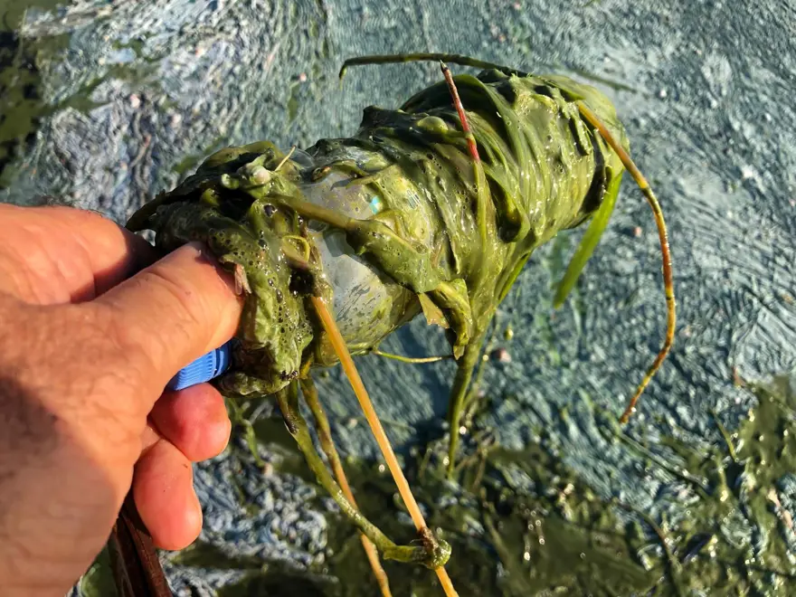 "GÖLÜ HAVZASIYLA BİRLİKTE KORUMALIYIZ" 5