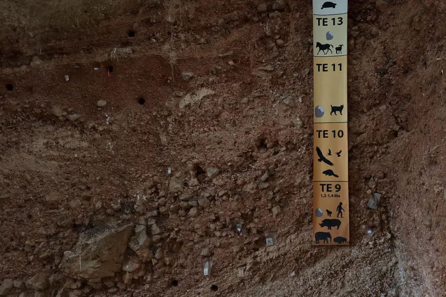 Avrupa'nın en eski insan fosili bulundu: 1,4 milyon yaşında 16