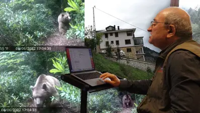 Profesörün ayı ile imtihanı