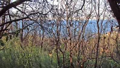 Yüzyılları deviren Doğu Roma mirası, gün yüzüne çıkarılmayı bekliyor