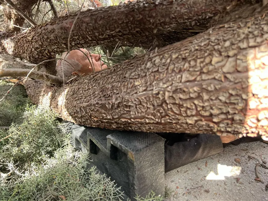 Seçimçalışmalarında kaza: Başkan adayının üzerine ağaç devrildi 3 Seçimçalışmalarında kaza: Başkan adayının üzerine ağaç devrildi 3