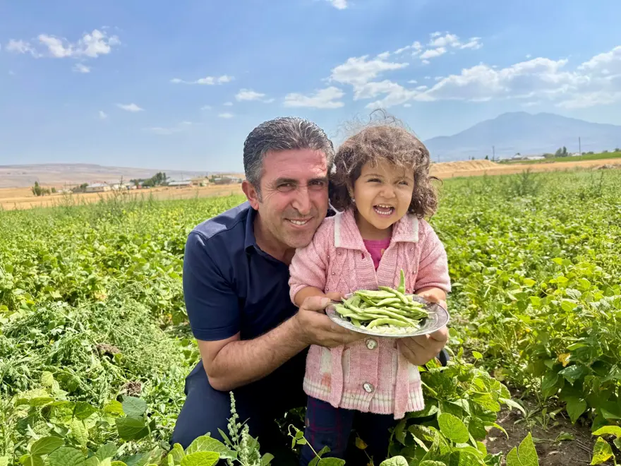 Ağrı'da yetişmez dediler: Yüksek verimiyle dikkat çekti 1