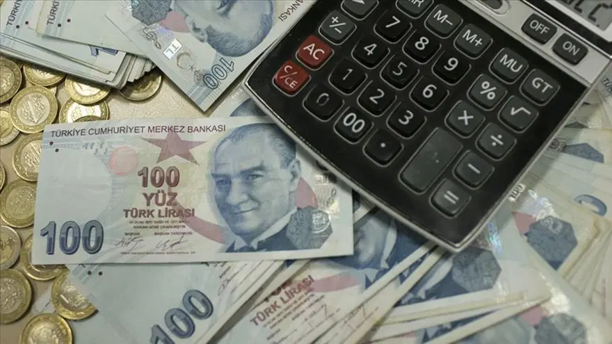 DOĞUM BORÇLANMASI NASIL YAPILIR? 9