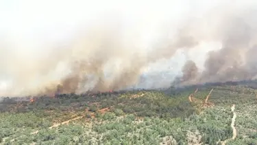 KKTC'de ormanlık alanda yangın