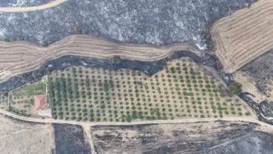 Çevresi griye döndü: Bir tek o alan yanmadı