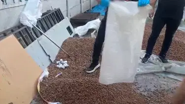 Fındık çuvalına uyuşturucu gizlemişler