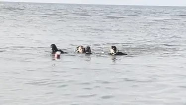 Balık tutmak için girdiği denizde boğuldu