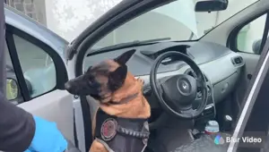 Araçta 46 kiloya yakın eroin bulundu