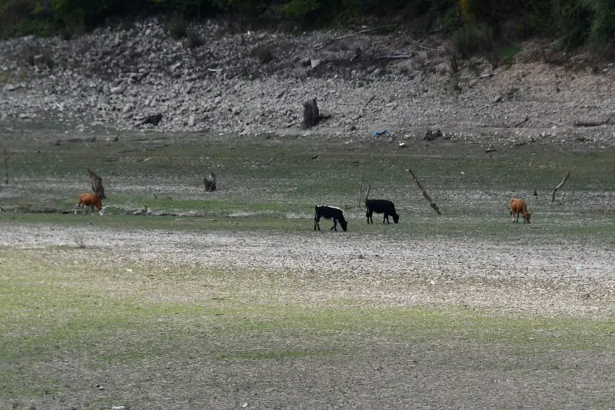 Trakya'da, İstanbul'un suyunu karşılayan barajlar kurudu 7