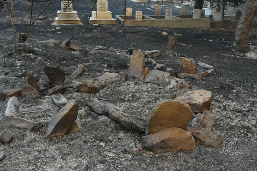 Çanakkale'de orman yangını kontrol altında 39