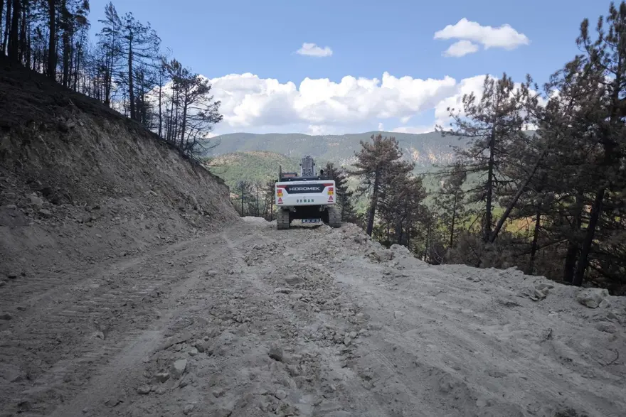 Bolu Göynük'teki orman yangınının yaraları sarılıyor 4