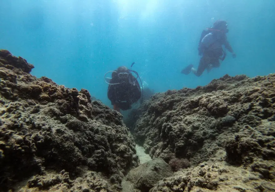 Fotoğraf tutkunu dalgıçlar, Mersin kıyılarındaki su altı kanyonlarını görüntülüyor 18