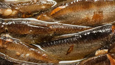 D vitamini zengini, yüksek protein kaynağı: Türkiye'nin lezzet mirası yaşlanmayı geciktiriyor