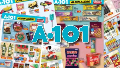 A101 aktüel 22 Mayıs: A101 aktüel ürünlerde; ilk yardım kiti, Tiny House, portatif klima, çapa motoru, mutfak rafı...
