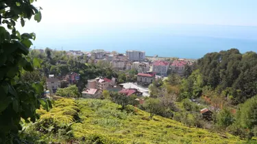 Köy köy dolaşıp 6 bin 900 liraya çalışacak işçi arıyorlar