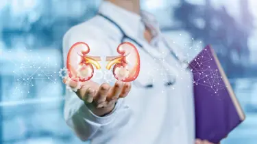 Fazla protein, kas kitlesini artırmıyor, böbrekleri bozuyor!