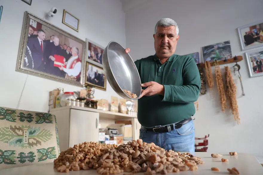 6 bin liraya satılıyor: Toros Dağları'nın zirvelerinde yetişiyor 3