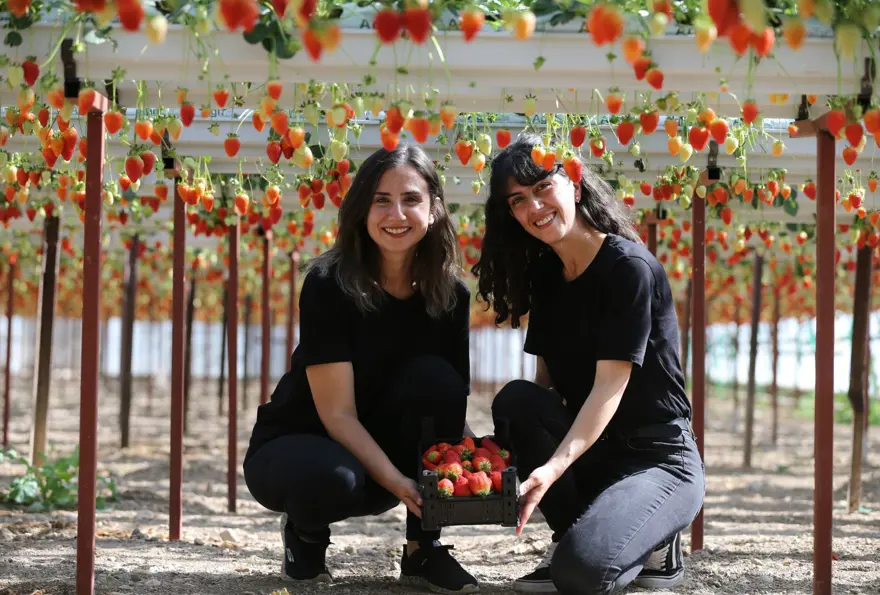 Sıfırdan başladılar, kendi işlerinin patronu oldular: 2 arkadaş kurdukları serada üretiyor 
