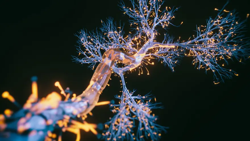 Alzheimer hastaları için gerçek bir tedavi sunan ilk ilaç: Lecanemab nedir? Lecanemab'ın yan etkileri nelerdir? 1 Alzheimer hastaları için gerçek bir tedavi sunan ilk ilaç: Lecanemab nedir? Lecanemab'ın yan etkileri nelerdir? 1