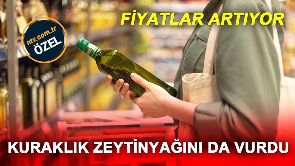 Ayçiçekteki artış zeytinyağını da etkiliyor (Fiyatlardaki artış sürecek mi?)