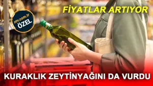 Ayçiçekteki artış zeytinyağını da etkiliyor (Fiyatlardaki artış sürecek mi?)