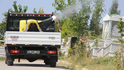 İstanbul’da sivrisinekle mücadele çalışmaları artırıldı