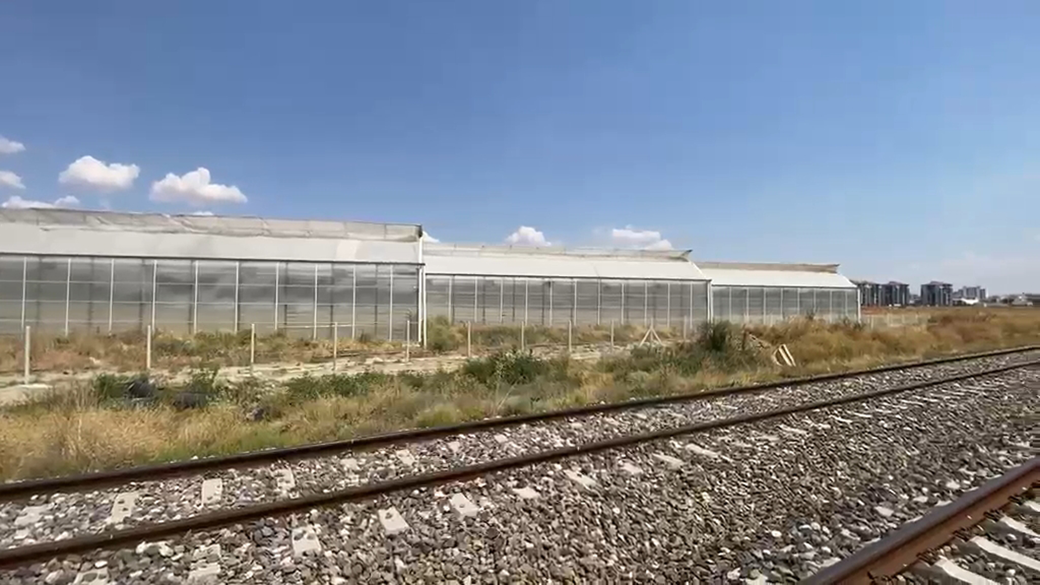 Sera çalışanları tarım ilacından zehirlendi