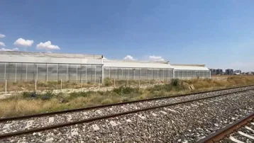 Sera çalışanları tarım ilacından zehirlendi