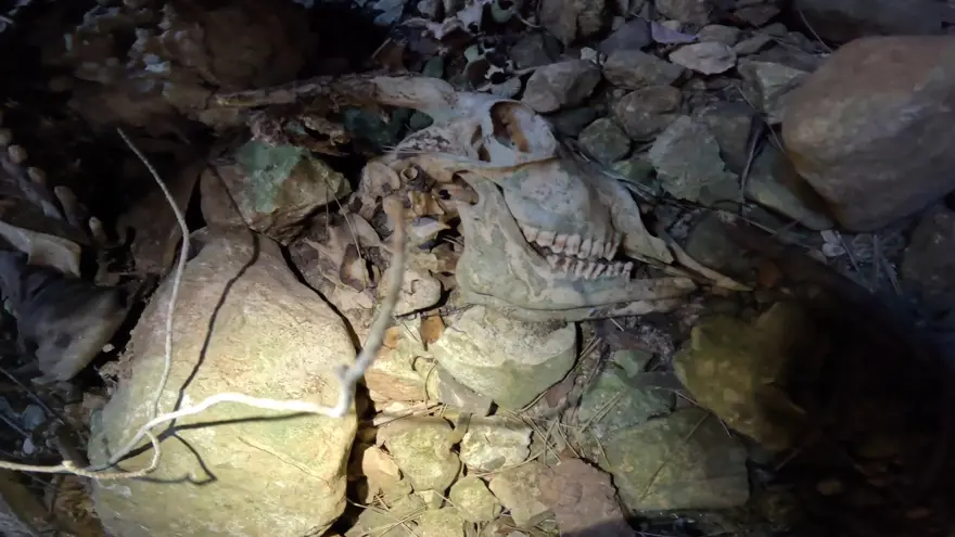 90 metrelik kara deliğe tek girdi: Dünyadan bir yer değil 5