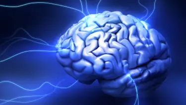 Elektrik verilen beyin daha hızlı öğreniyor