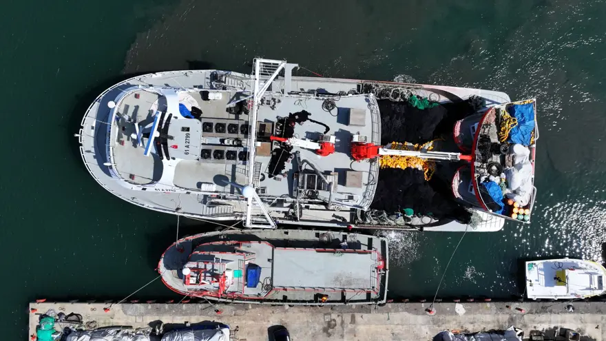 Karadenizli balıkçıların tezgahlarını süsledi: Kilosu 100 liradan başlıyor 