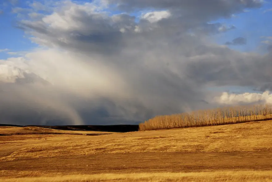 Doğanın muhteşem güzellikleri 28 Doğanın muhteşem güzellikleri 28