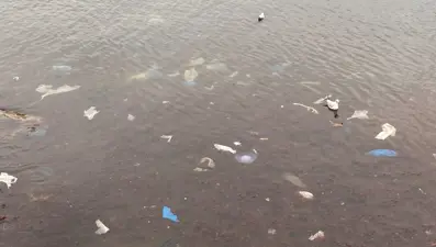 Lodosun ardından Caddebostan sahilini plastik atıklar kapladı
