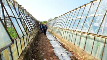 10 dakikalık dolu bütün mahsule zarar verdi
