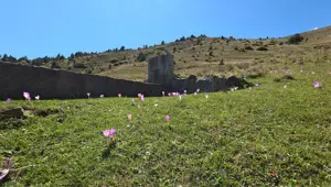 Kışın habercisi kendini gösterdi: Yaylalarda "vargit"ler