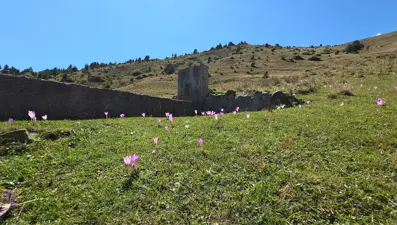 Kışın habercisi kendini gösterdi: Yaylalarda "vargit"ler