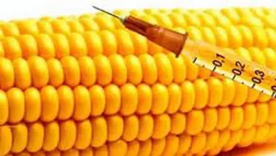 "Nişasta bazlı şeker bebeklerin tat duygusunu değiştiriyor"