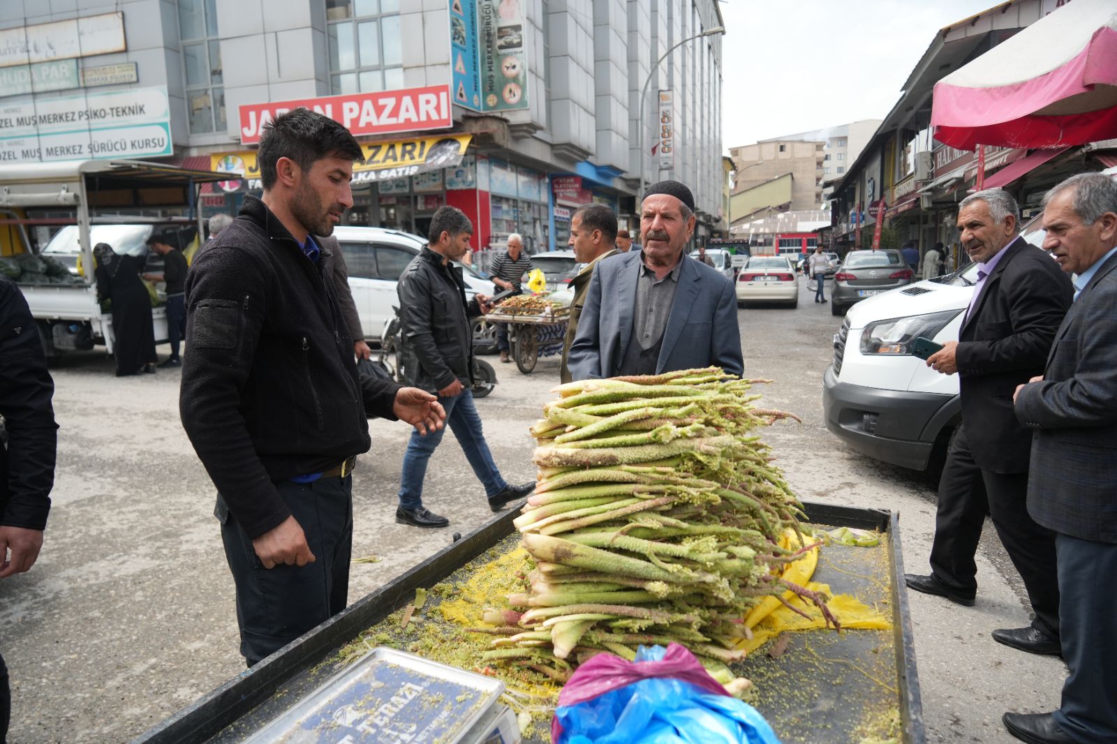 Şeker, kanser ve mide hastalığına iyi geldiğine inanılıyor: Dağlık alandan toplanıp pazara getiriliyor