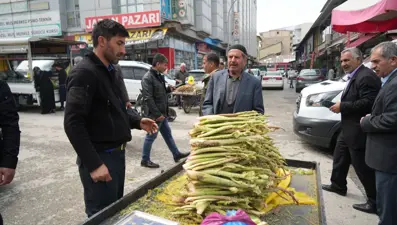 Şeker, kanser ve mide hastalığına iyi geldiğine inanılıyor: Dağlık alandan toplanıp pazara getiriliyor