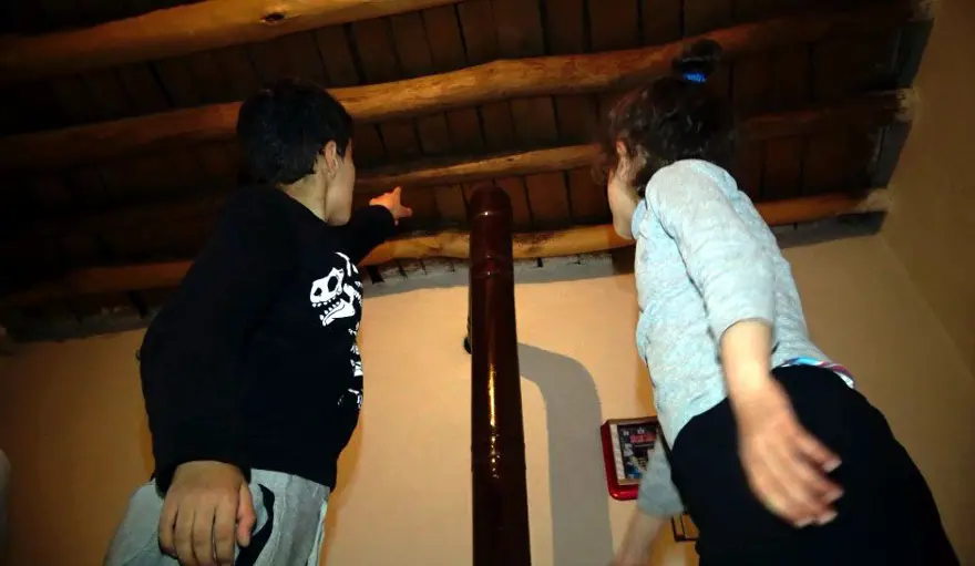 Evlerine giren yılanlar nedeniyle zor günler geçiriyorlar 3