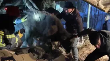 Ahır çöktü, hayvanlar enkaz altında kaldı