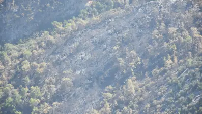Kemer ilçesinde yanan alanlar havadan görüntülendi