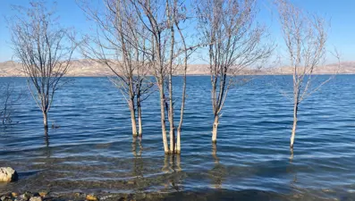 Her yerde baraj ve göllerde su seviyesi düştü, deprem merkezindeki gölde yükselme dikkat çekti