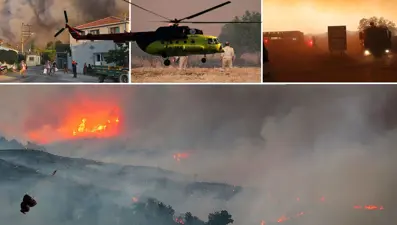 Orman yangınlarında son durum: Çanakkale ve Adana'daki yangınlar kontrol altında