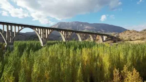 Adıyaman'ın önemli yapıları arasında yer alıyor: 96 yıllık Alman Köprüsü’nde sonbahar güzelliği